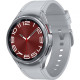 Samsung Galaxy Watch6 Classic 43mm eSIM Silver (SM-R955FZSA)