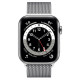 Apple Watch Series 6 GPS + Cellular 40mm Graphite S. Steel Case w. Graphite Milanese L. (MG2U3+M06Y3)