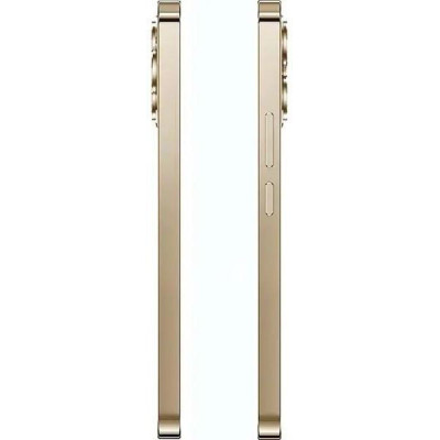 Oukitel P1 Pro 8/512GB Gold