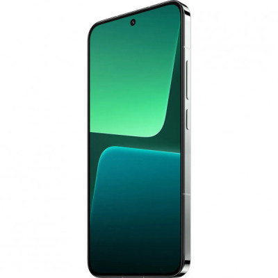 Xiaomi 13 Pro 12/256GB Flora Green CN