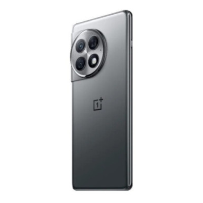 OnePlus Ace 2 Pro 12/256GB Titanium Gray