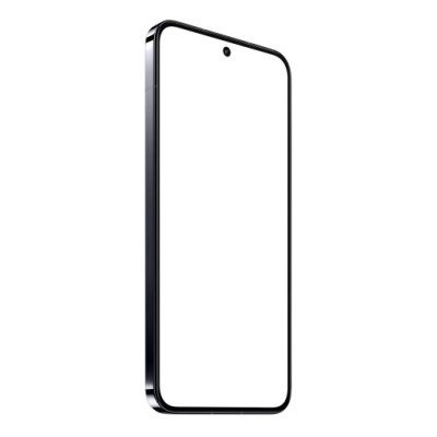 Xiaomi 13 12/256GB Black