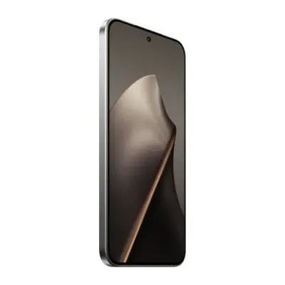 Xiaomi 15T 12/256GB Titan Gray (with adapter)