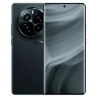 Realme GT5 Pro 12/256GB Black