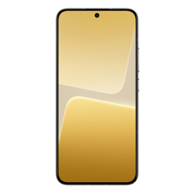 Xiaomi 13 12/256GB White