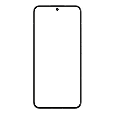 Xiaomi 13 12/256GB White