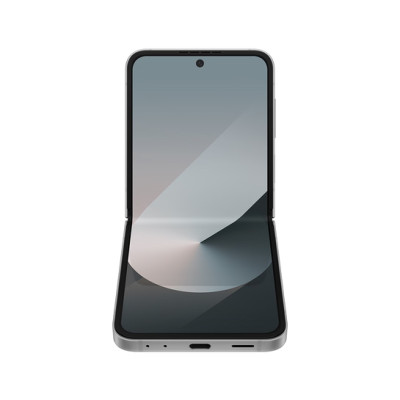 Samsung Galaxy Flip6 12/256GB Silver Shadow (SM-F741BZSG)