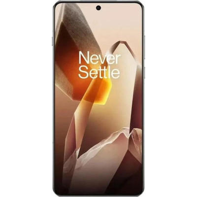 OnePlus 13 24/1TB Arctic Dawn