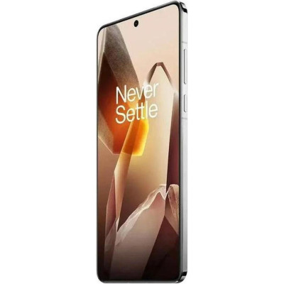 OnePlus 13 24/1TB Arctic Dawn