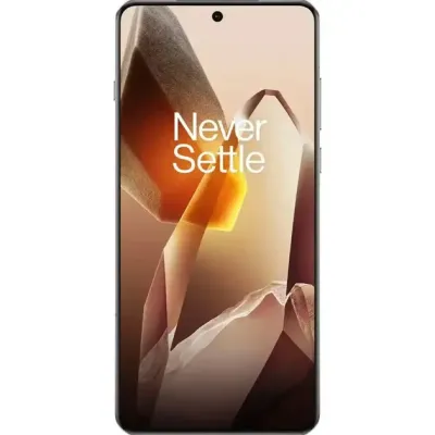 OnePlus 13 24/1TB Arctic Dawn CN