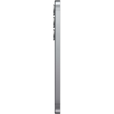 Samsung Galaxy S25 12/256GB Silver Shadow (SM-S931BZSG)