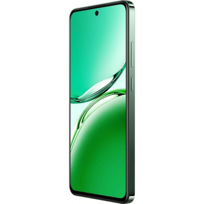 OPPO Reno12 FS 5G 12/512GB Black Green