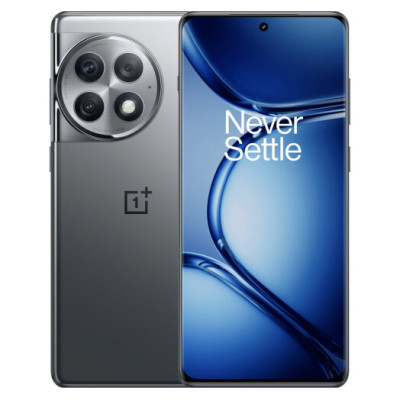 OnePlus Ace 2 Pro 16/512GB Titanium Gray