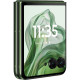 Motorola Razr 50 Ultra 12/512GB Spring Green