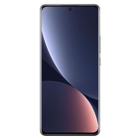 Xiaomi 12 Pro 12/256GB Gray