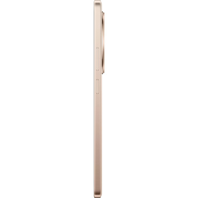 Realme 13+ 12/256GB Victory Gold