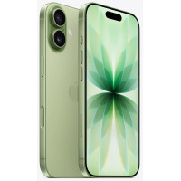 Apple iPhone 17 256GB Dual SIM Sage (MG714)