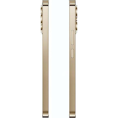 Oukitel P1 Pro 4/256GB Gold