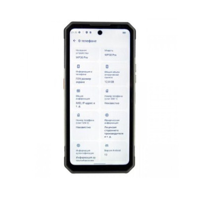 Oukitel WP30 Pro 12/512GB Black