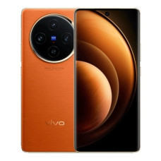 vivo X100 12/256GB Orange