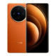 vivo X100 12/256GB Orange