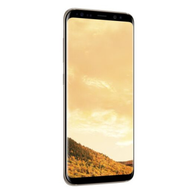 Samsung Galaxy S8 64GB Gold (SM-G950FZDD)