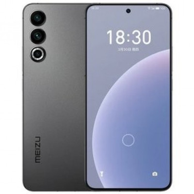 Meizu 20 12/256GB Gray