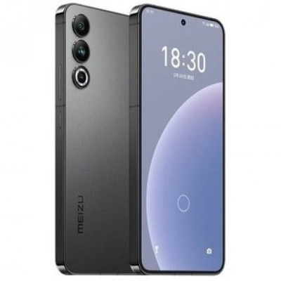 Meizu 20 12/256GB Gray