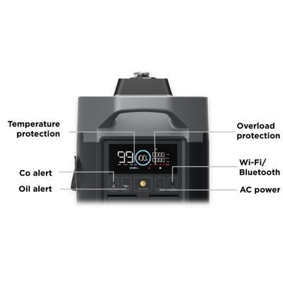 EcoFlow Smart Gas Dual Fuel (ZDG200-EU)