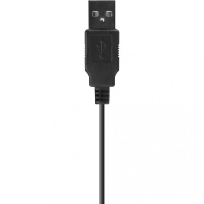 Speed-Link Audivis Conference Webcam 1080p FullHD Black (SL-601810-BK)