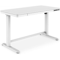 Digitus Electric Height Adjustable (DA-90406)