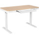 2E СЕ218D Motorized White (2E-CE218D-MOTORIZED)