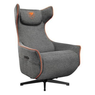 Cougar Magus Gray