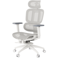 OfficePro Skyline Footrest OC750-W-LG-LG White/Light Gray