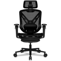 Cougar Speeder Black