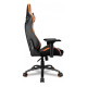 Cougar Outrider S