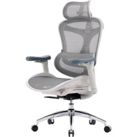 Sihoo Doro C300L Mesh White