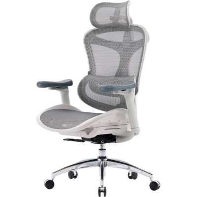 Sihoo Doro C300L Mesh White