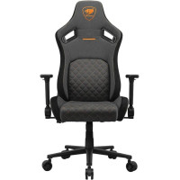 Cougar Defensor Gray F