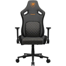 Cougar Defensor Gray F