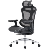 Sihoo Doro C300L Mesh Black