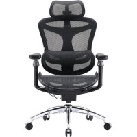 Sihoo Doro C300 Pro Mesh Black