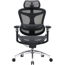 Sihoo Doro C300 Pro Mesh Black
