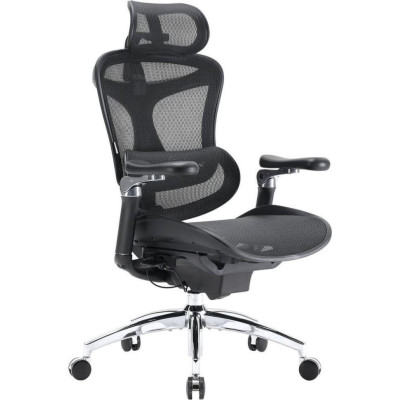 Sihoo Doro C300 Pro Mesh Black