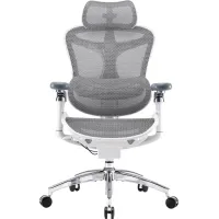 Sihoo Doro C300 Pro Mesh White