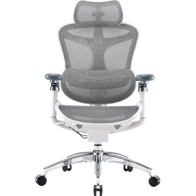 Sihoo Doro C300 Pro Mesh White