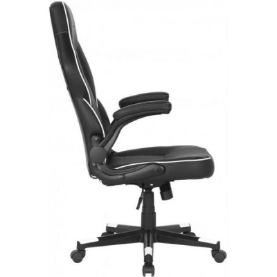 2E Gaming HEBI Black/White (2E-GC-HEB-BKWT)