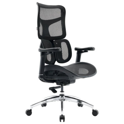 Sihoo Doro S100 Mesh Black