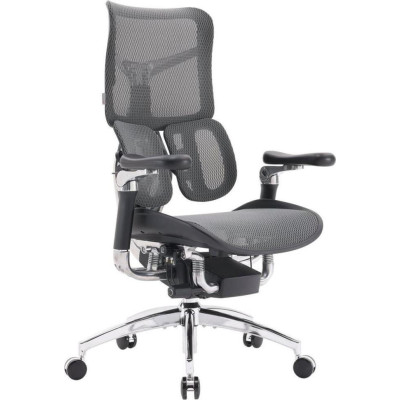 Sihoo Doro S300 Mesh Dark Gray