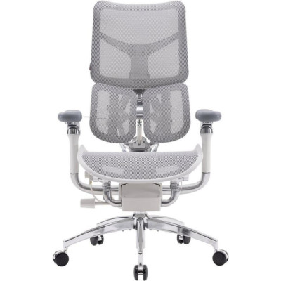 Sihoo Doro S300 Mesh Light Gray